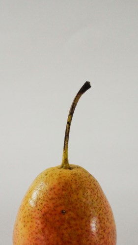 pear