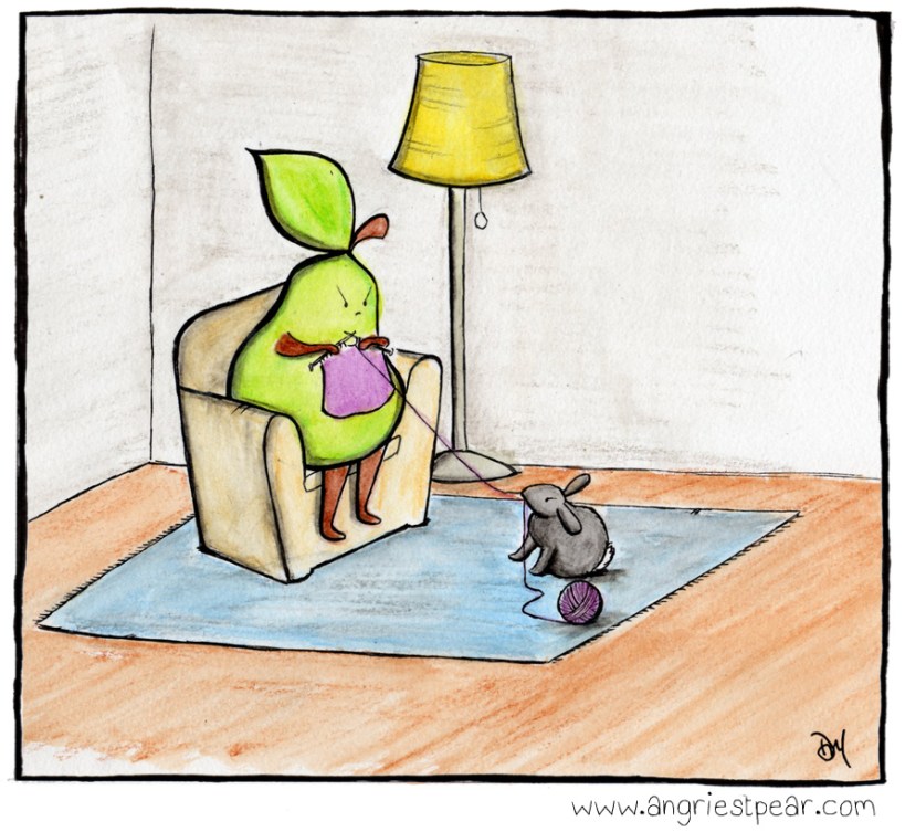 knitting wth rabbit color