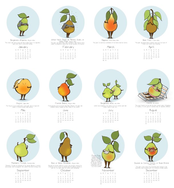 il_fullxfull.543870473_n6hc