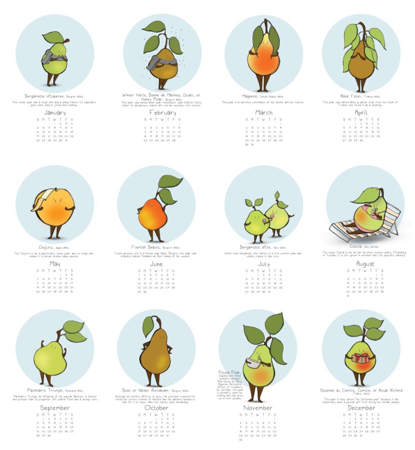 il_fullxfull.543870473_n6hc