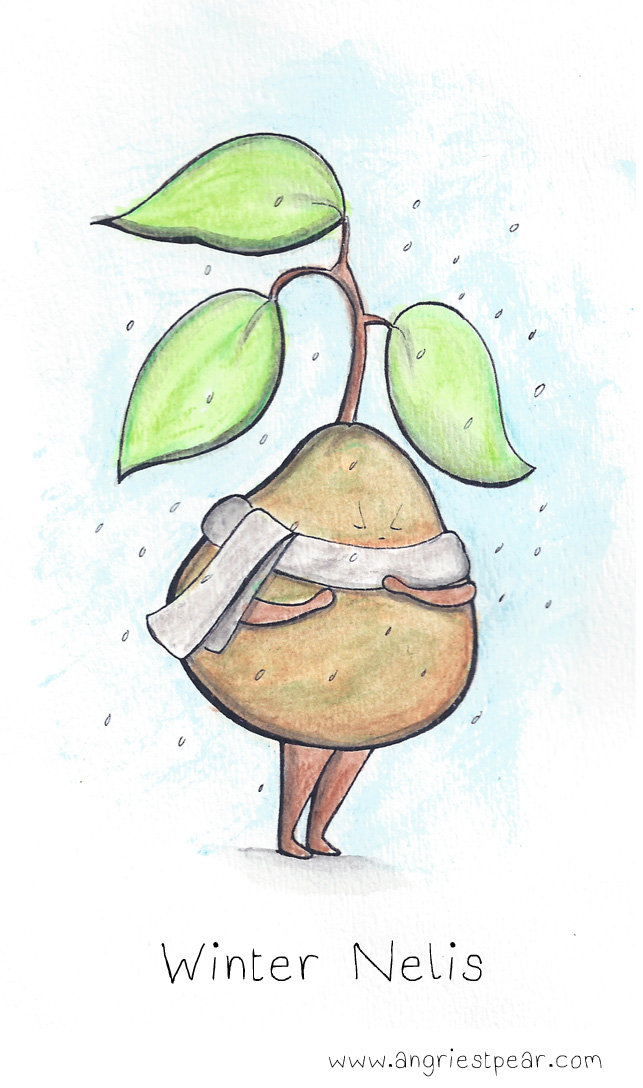 winter nelis 1 without border