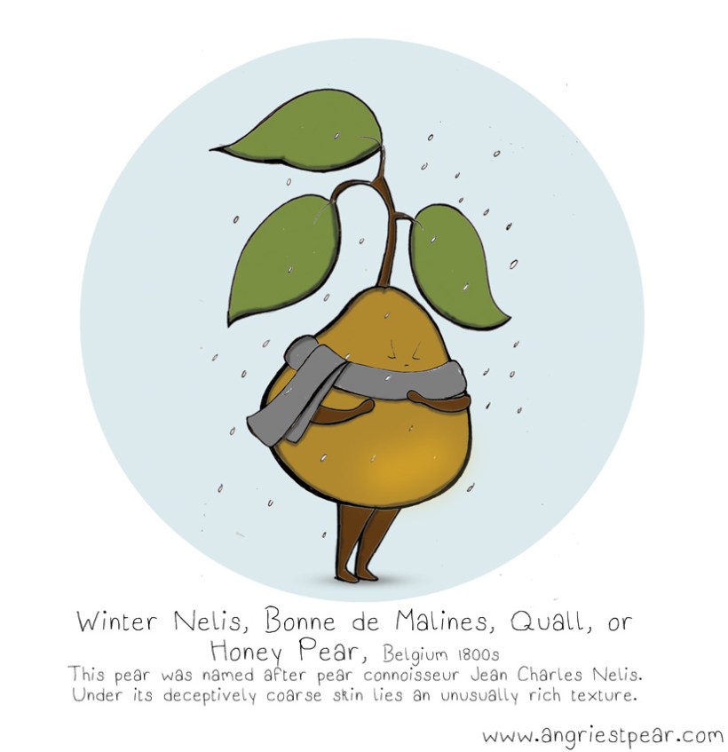 winter nelis calender page