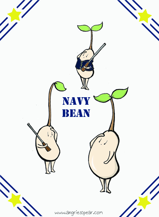 navy bean