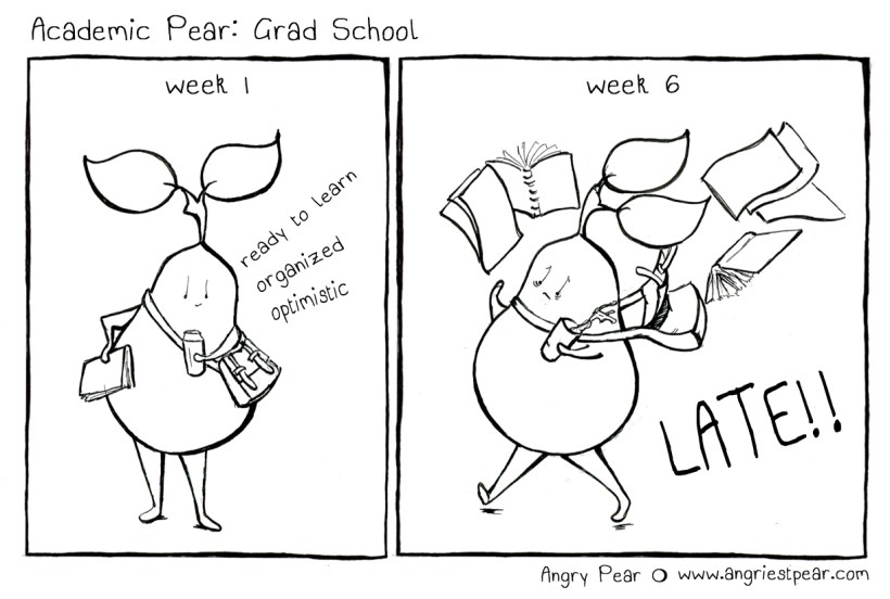 academic pear grad school